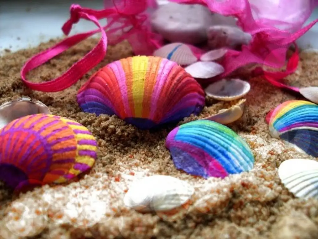 Collect Seashells