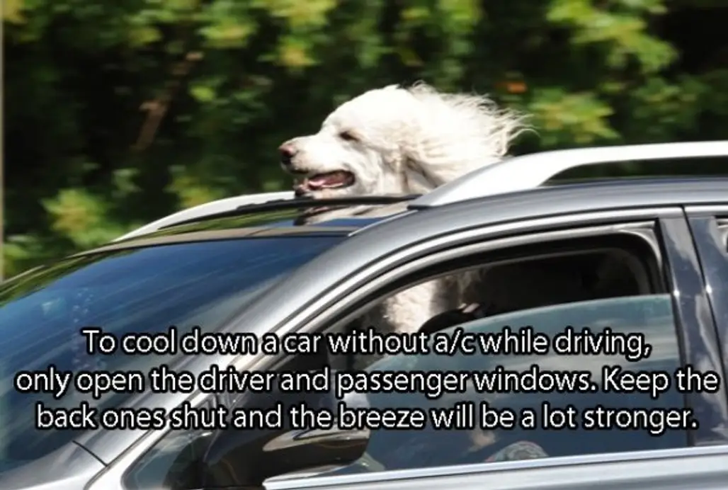 How to Cool down a Hot Car