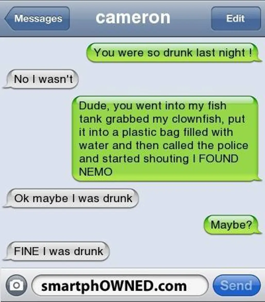 Clownfish Drunk?