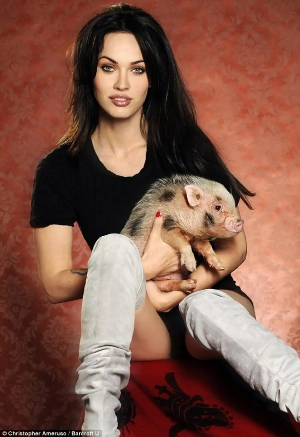 Megan Fox - Pot Bellied Pig