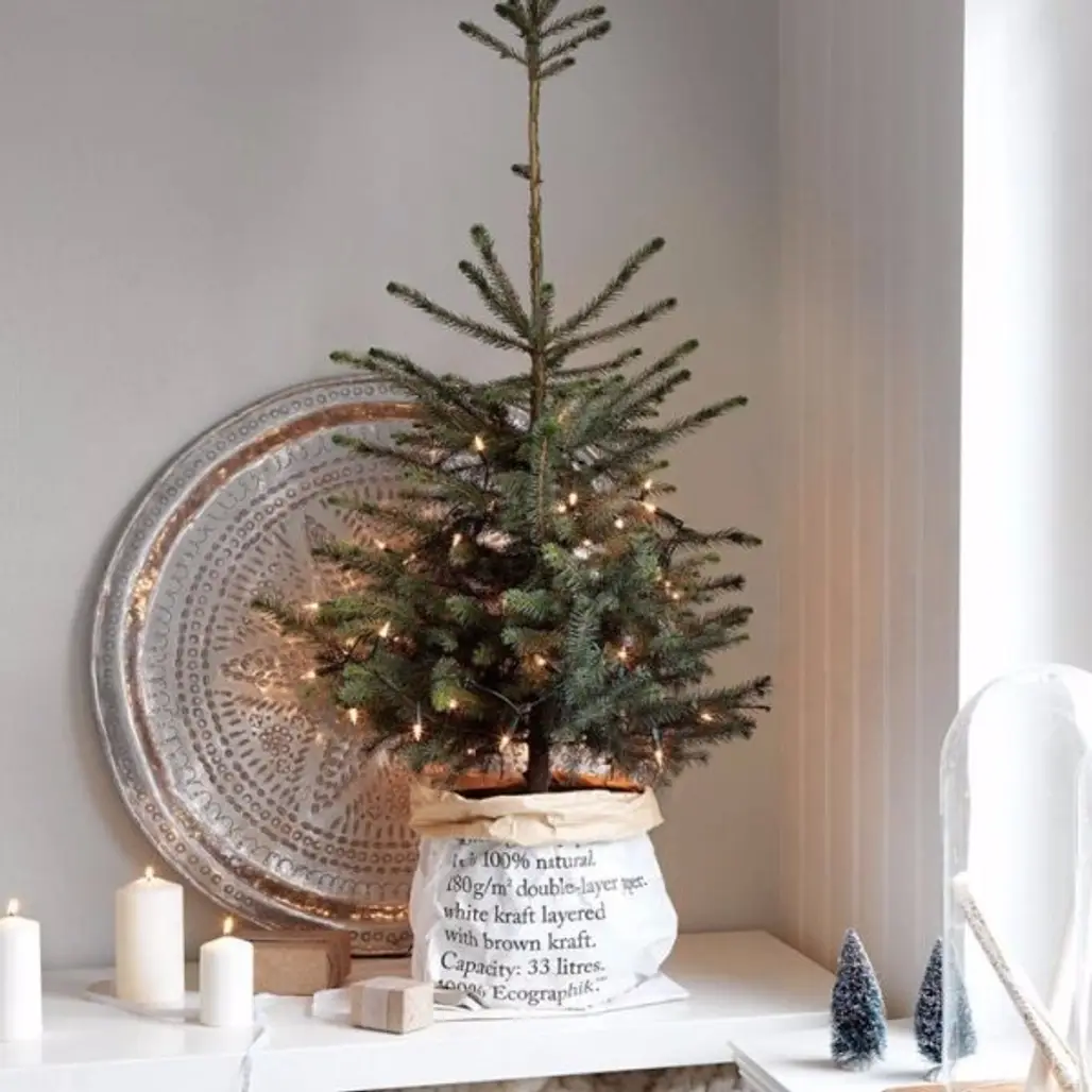 christmas tree, tree, christmas decoration, lighting, branch,