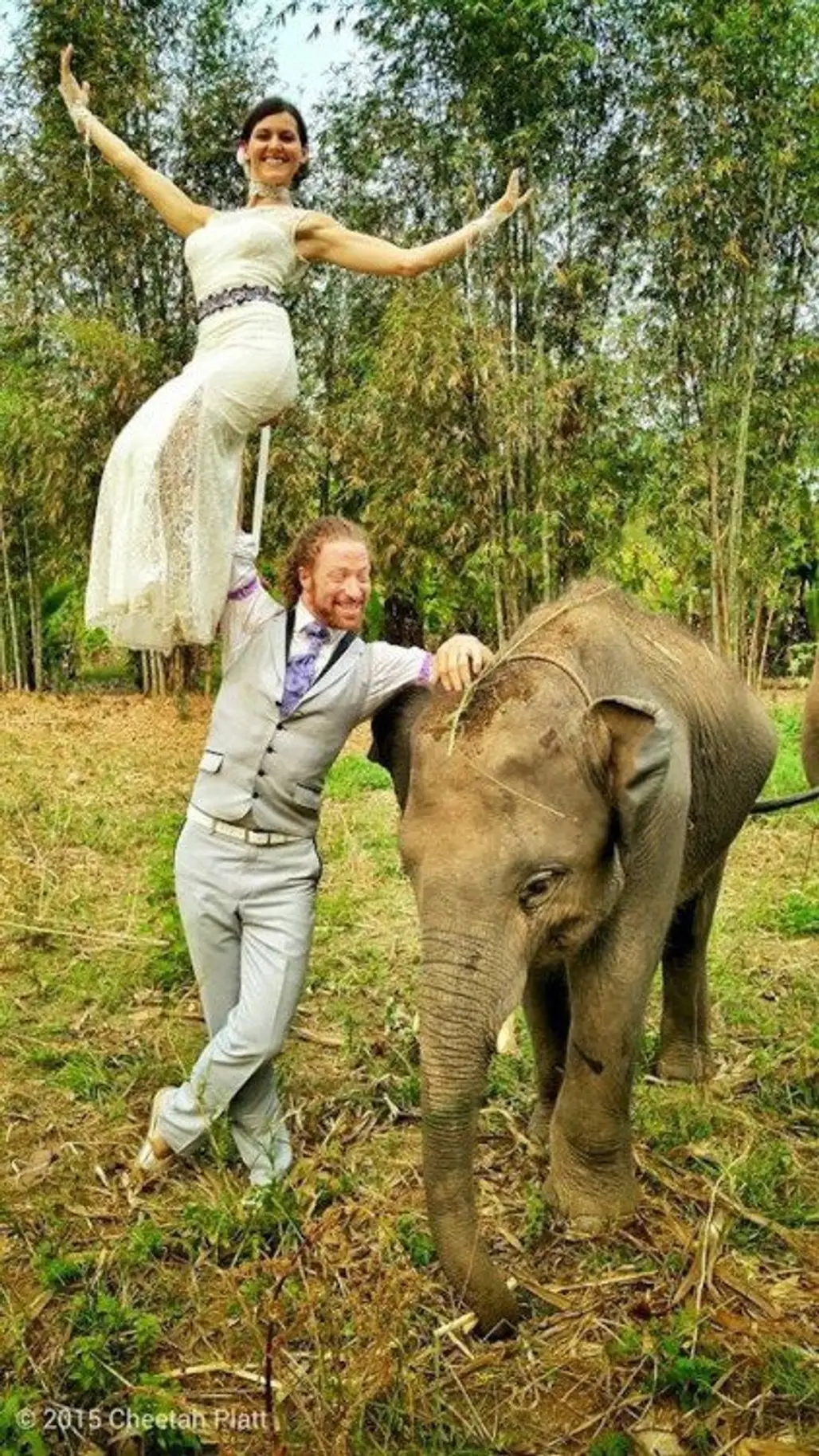 A Special Ring Bearer at Ran-Tong Elephant Rescue Center, Chiang Mai, Thailand