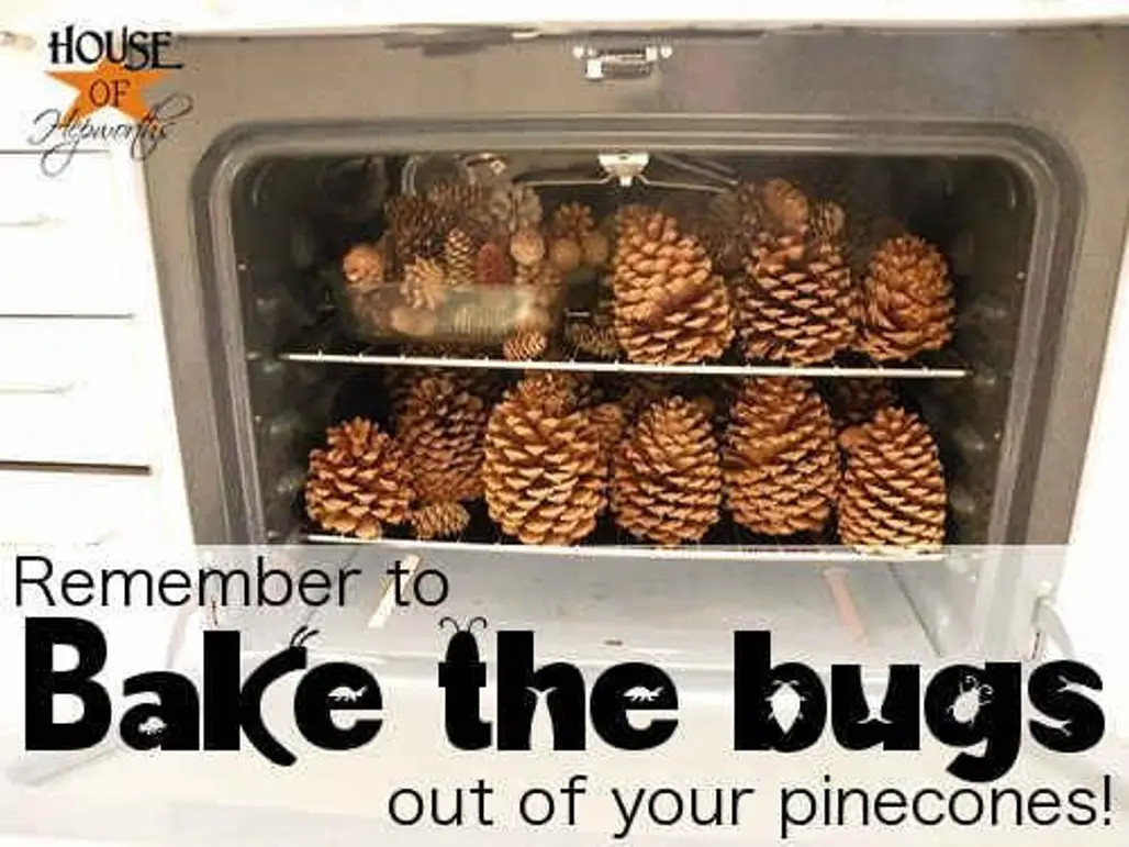 Bake Pine Cones from outside You're Using as Decor to Kill Any Bugs