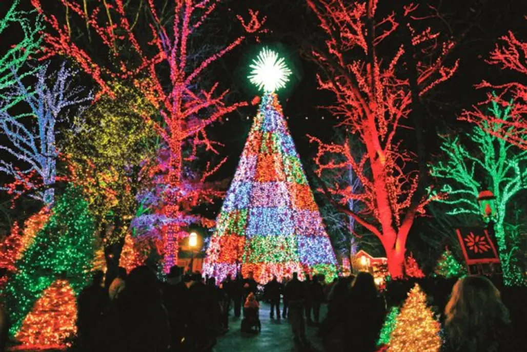 tree, christmas lights, christmas tree, christmas decoration, christmas,