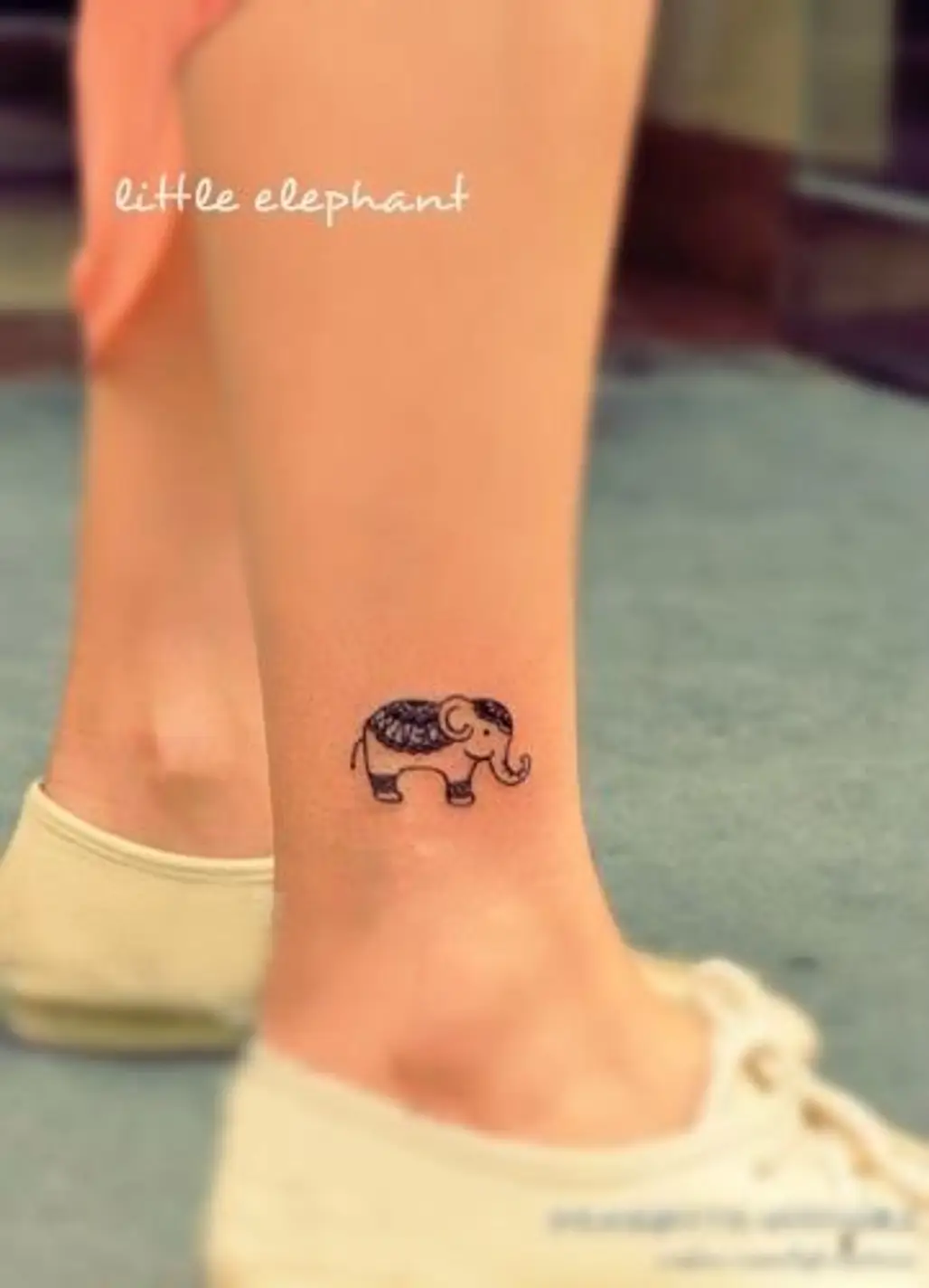 Little Elephant