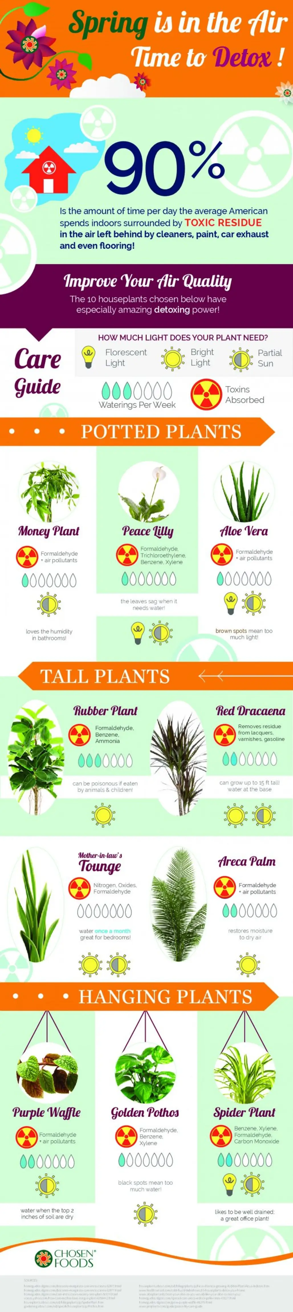 Finish Your Spring Cleaning by Adding These Plants to Your Home