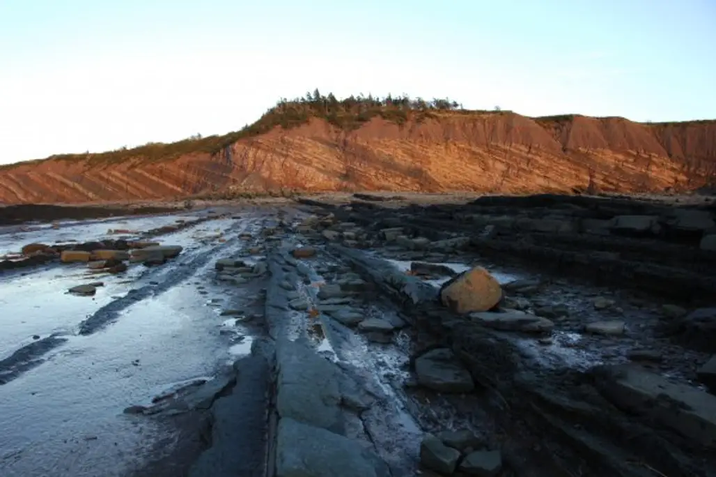 Geology Galore at Joggins Fossil Cliffs