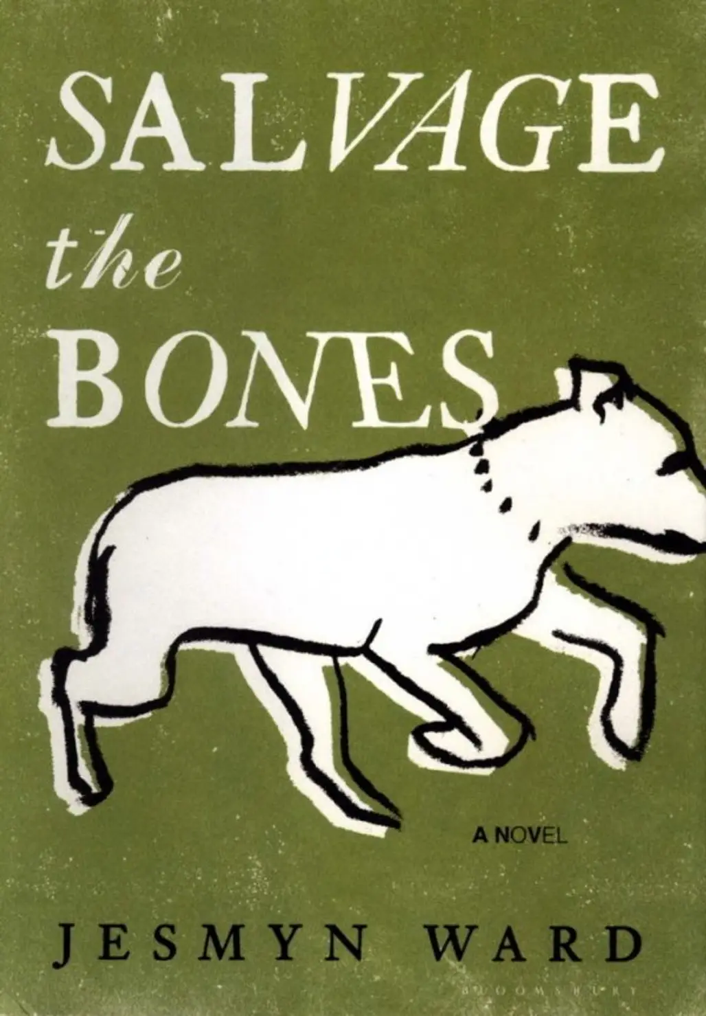 Salvage the Bones – Jesmyn Ward