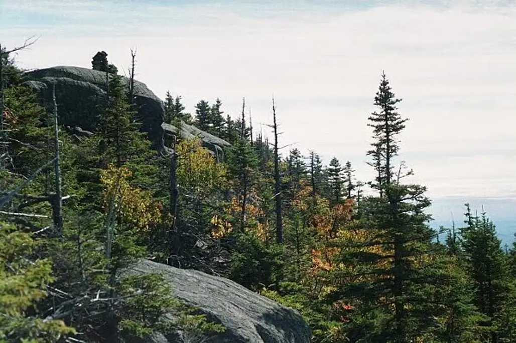 Grafton Loop Trail, Mahoosuc Mountains, Maine