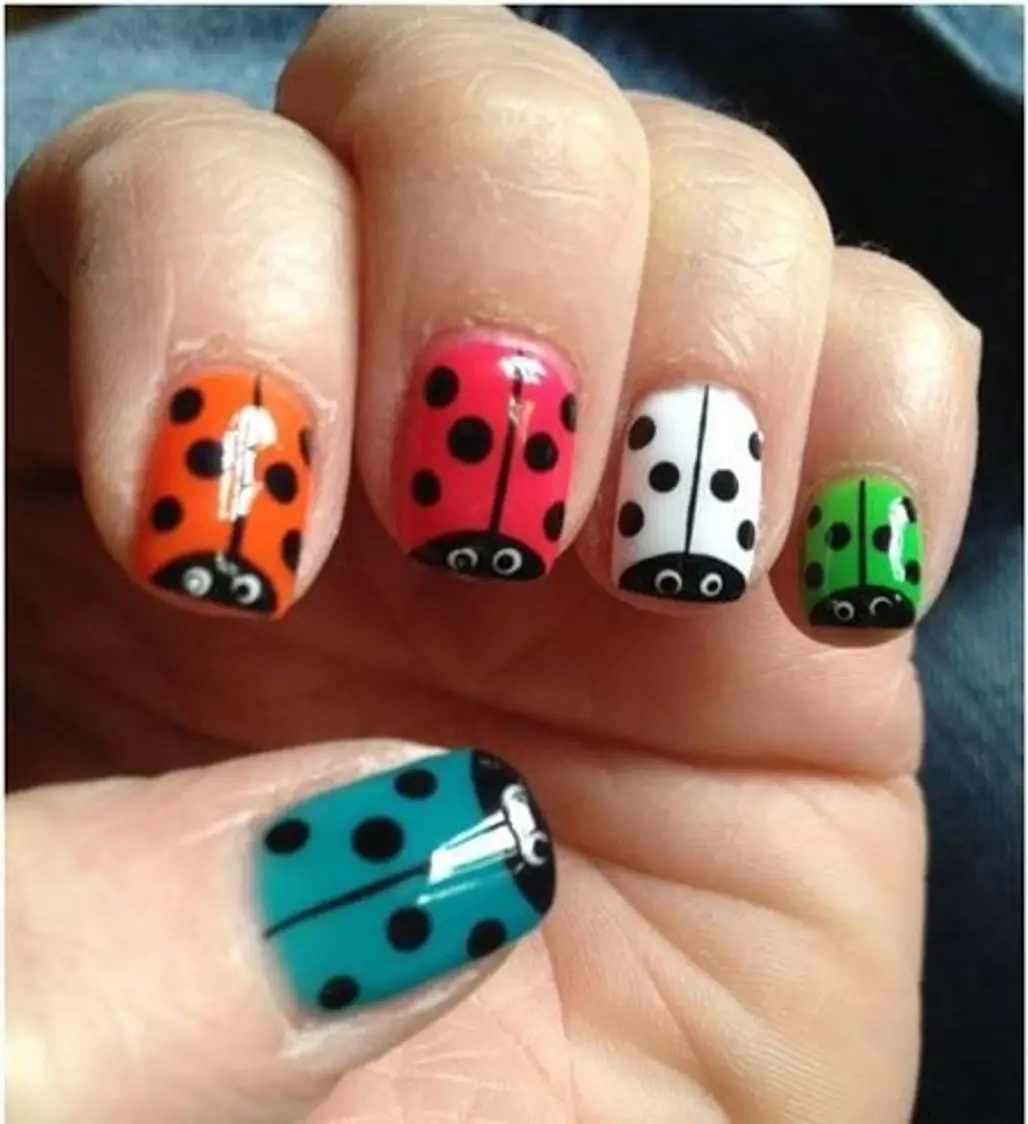 Colorful Lady Bugs