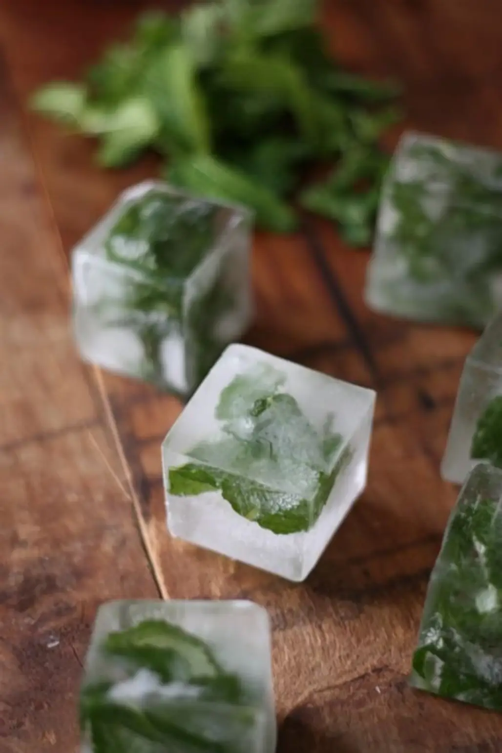 Mint Infused Ice Cubes to Add in