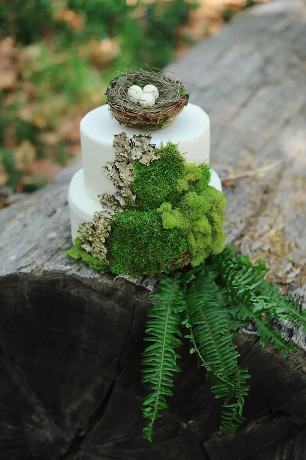 Say Yes to These Outdoor-Themed Rustic Wedding Cakes