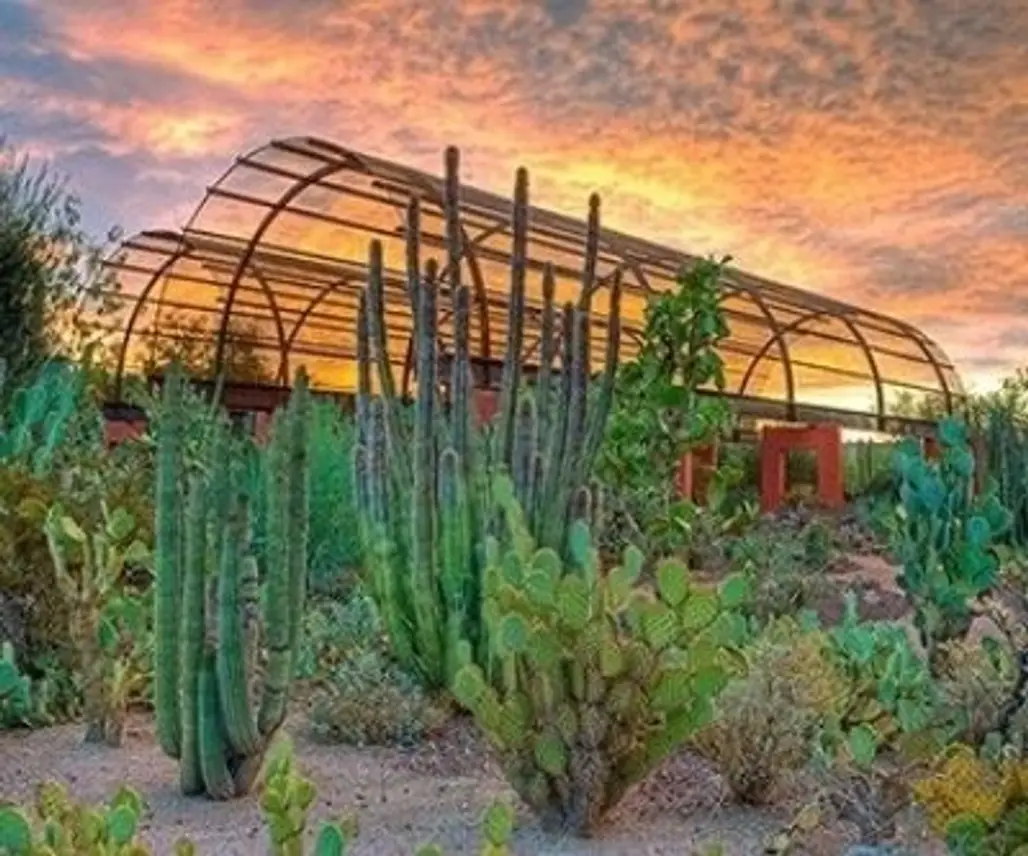 Take Your Time at Phoenix Desert Botanical Garden