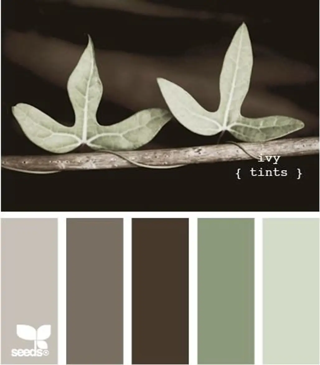 leaf,art,pattern,wood,design,