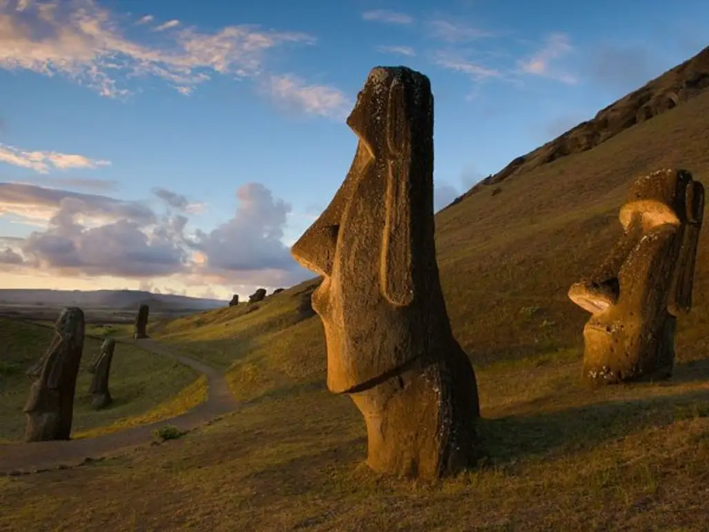 Hide among Easter Island's Giants
