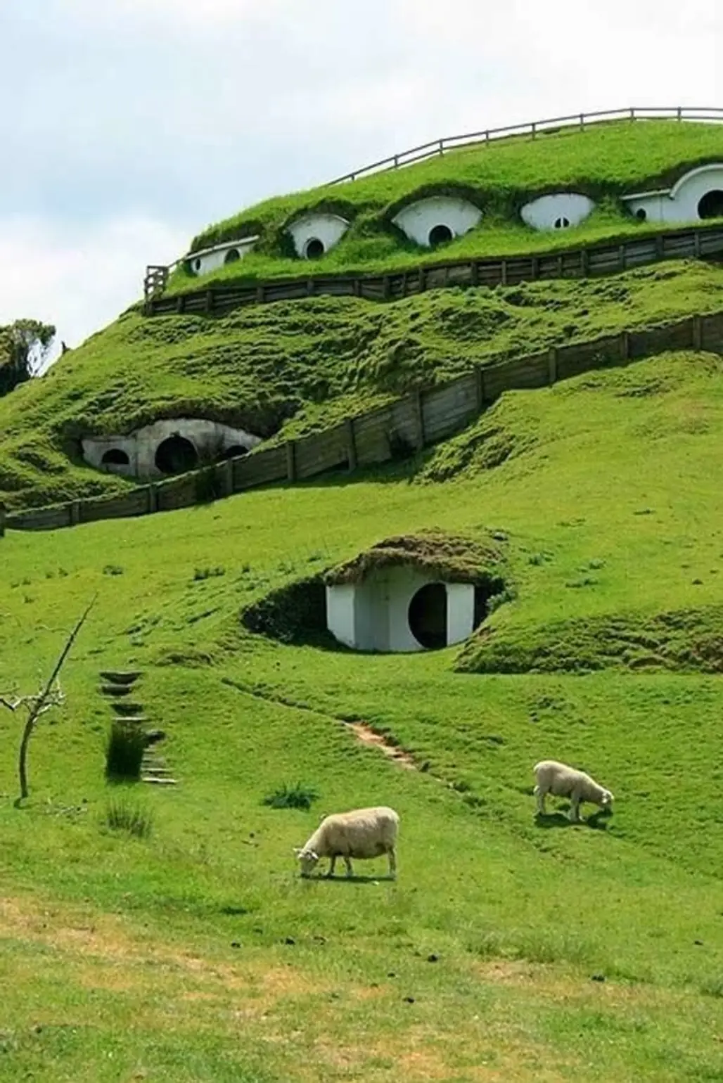 Hobbit Houses