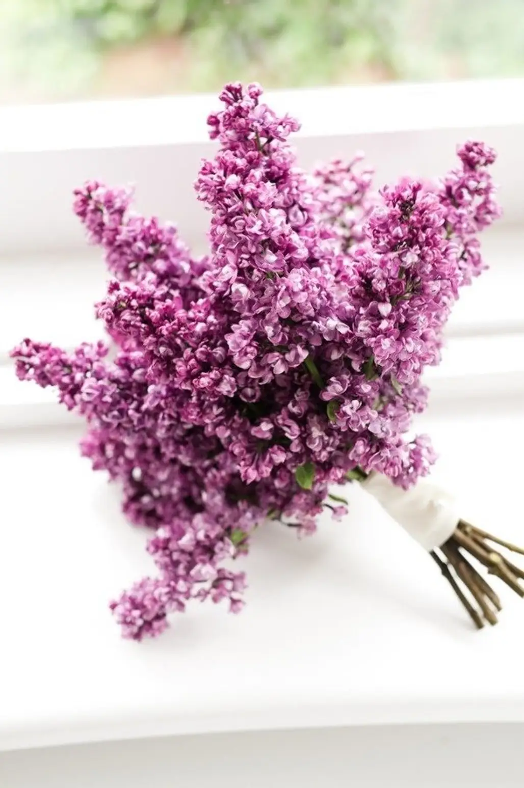 Look for Lilacs