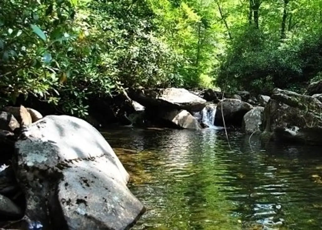 Hazel Creek/Forney Creek Loop, Great Smoky Mountains National Park, North Carolina