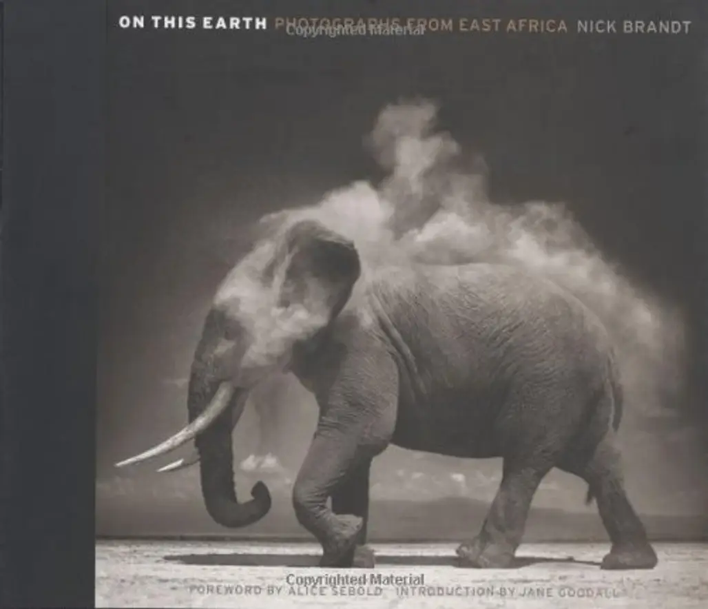 On This Earth: Photographs from East Africa by Nick Brandt
