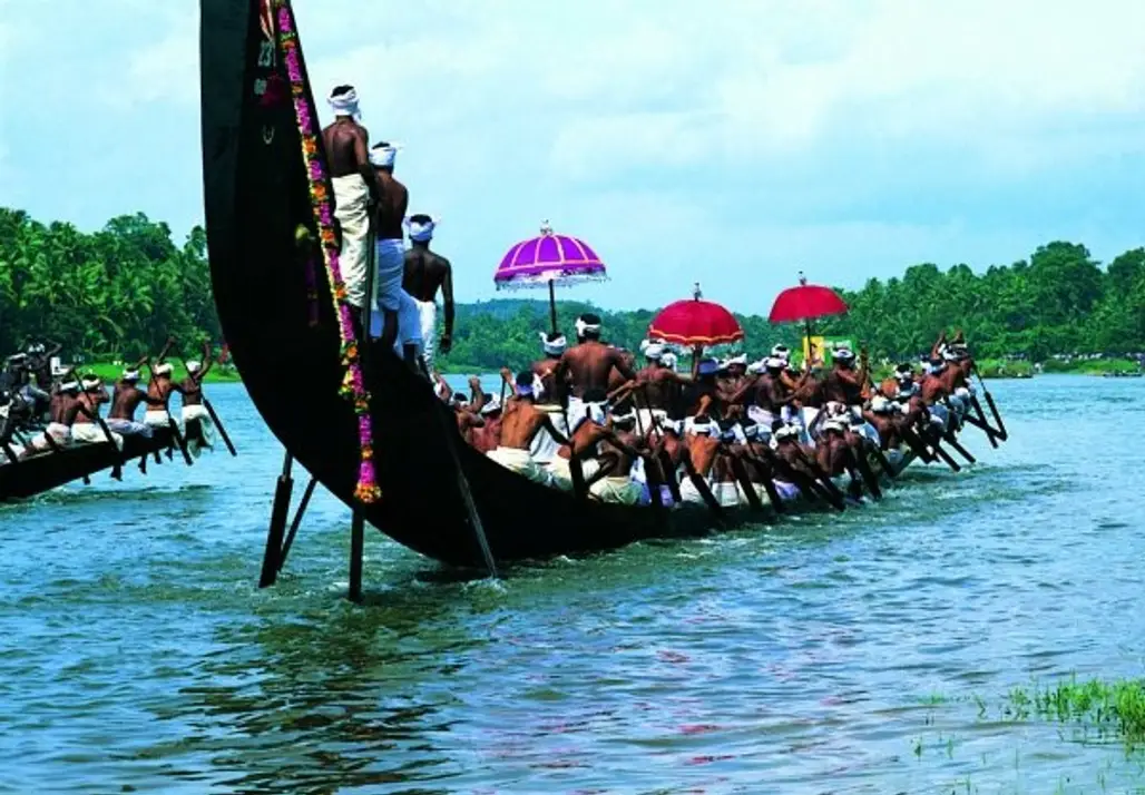 Cheer on a Snake Boat Race in Kerala