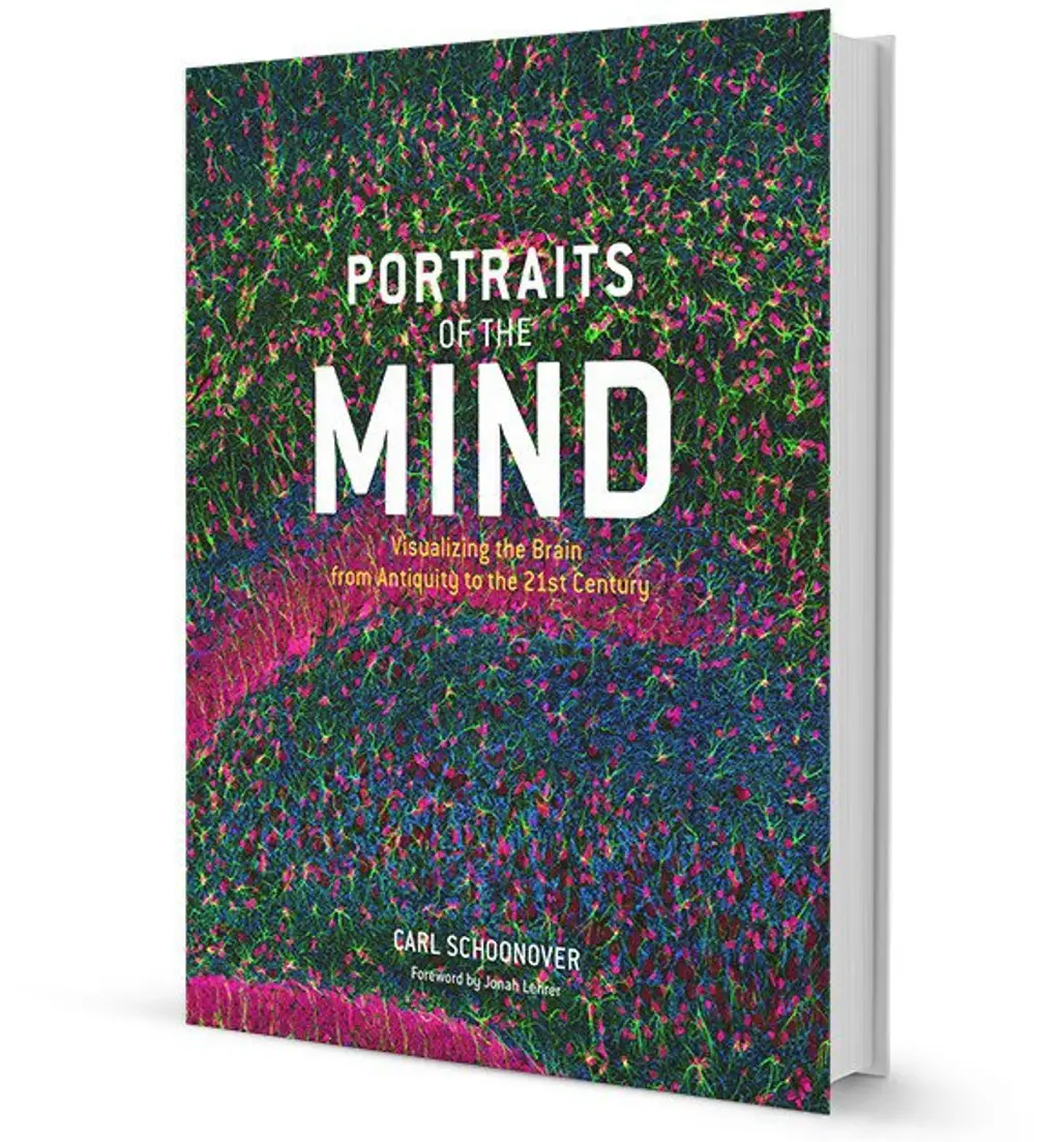 Portraits of the Mind: Visualizing the Brain