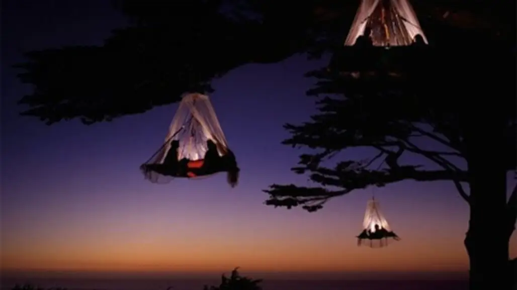 Stay in a Hanging Tree Bed in Bavaria