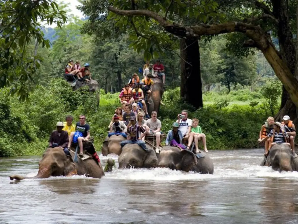 White Water Rafting with Elephants, Bali