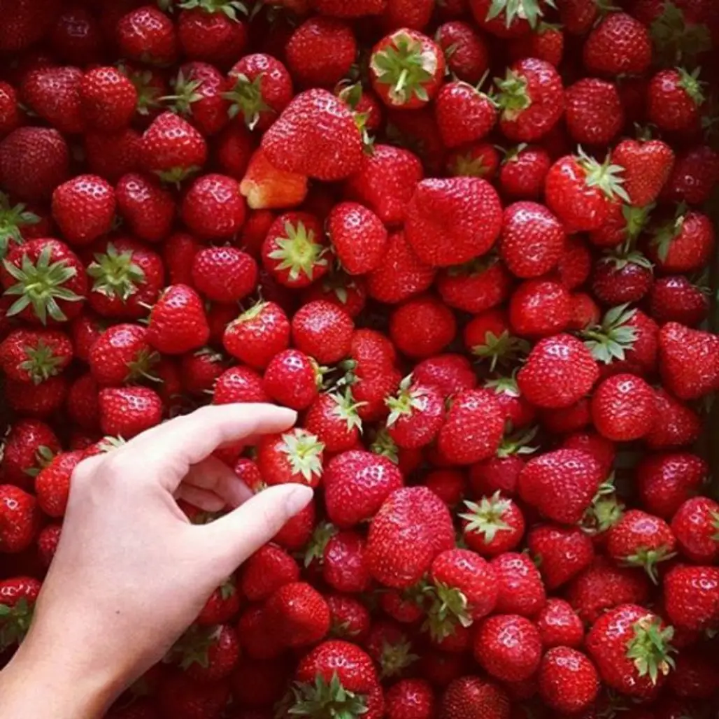 strawberry, strawberries, food, fruit, produce,