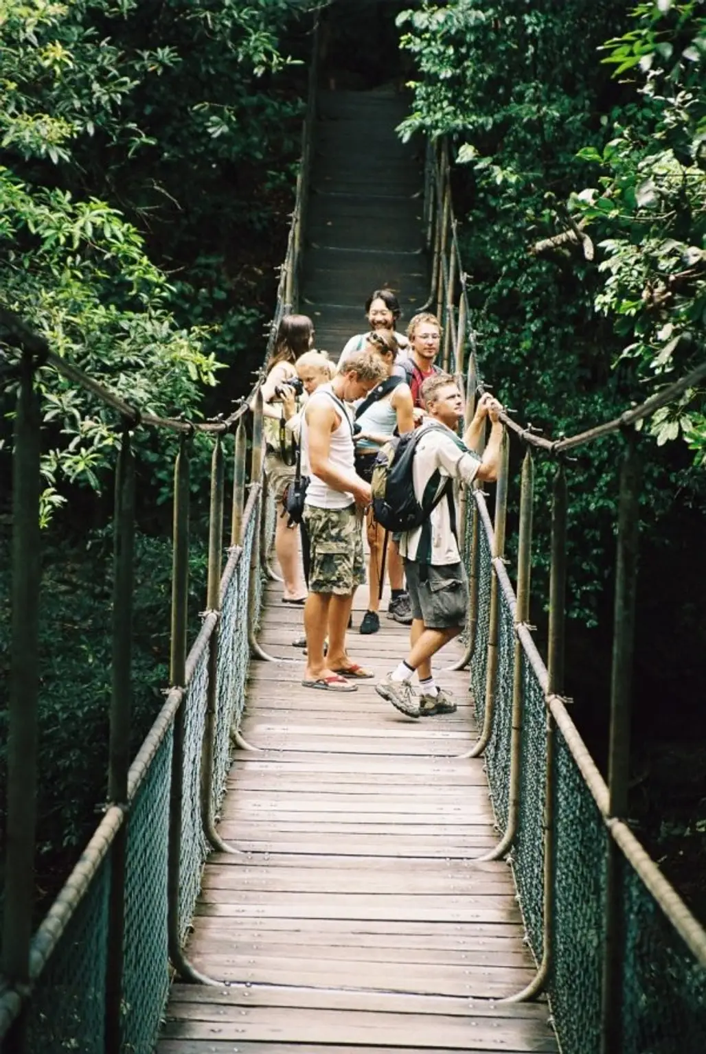 Go Hiking through a Tropical Rainforest