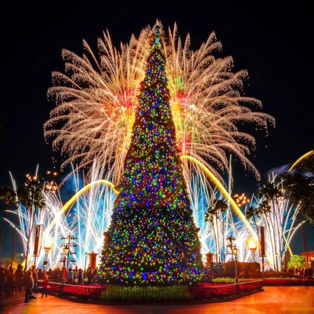 tourist attraction, christmas tree, tree, christmas decoration, night,