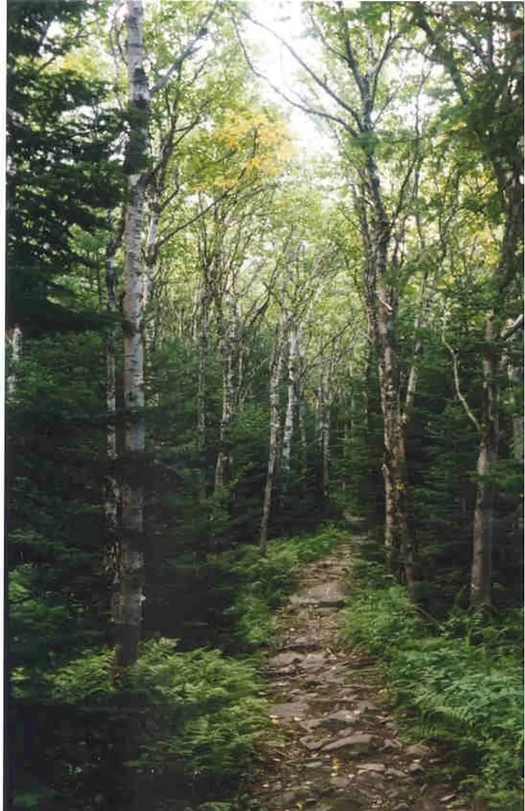 Connecticut – Appalachian National Scenic Trail
