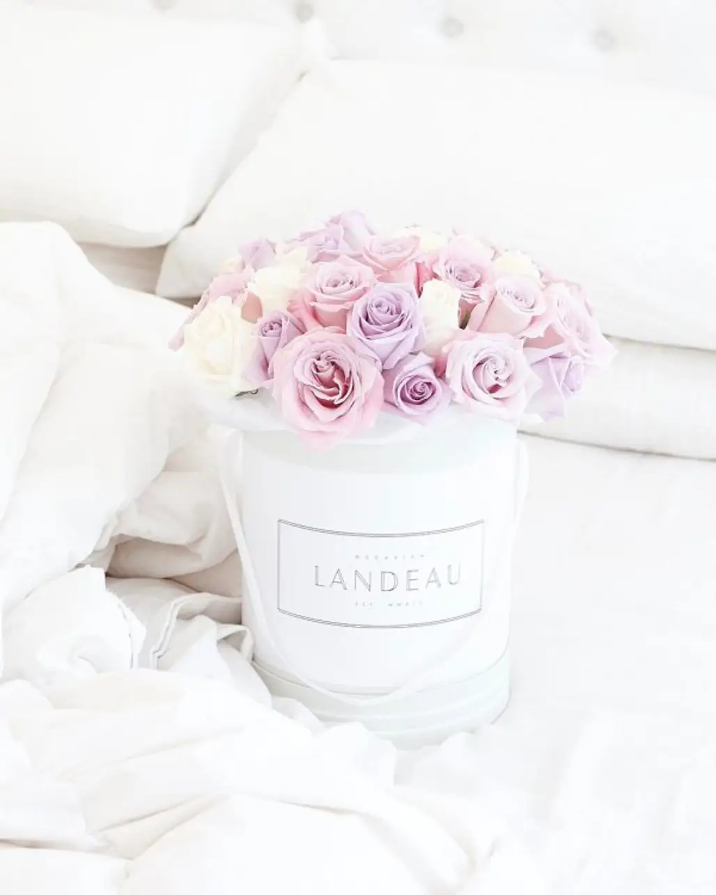 pink, white, flower, flower bouquet, petal,