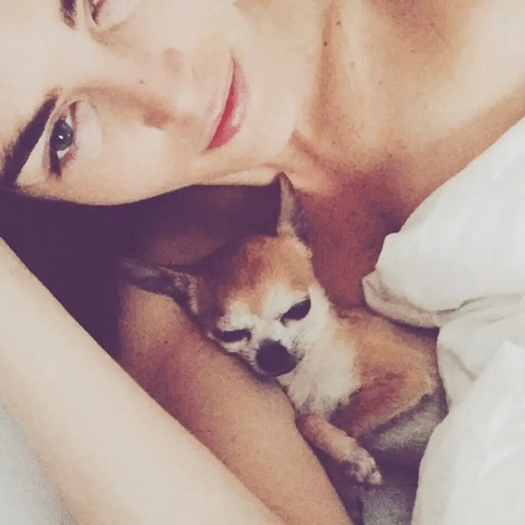 @hilaryhrhoda shares a selfie with her pooch