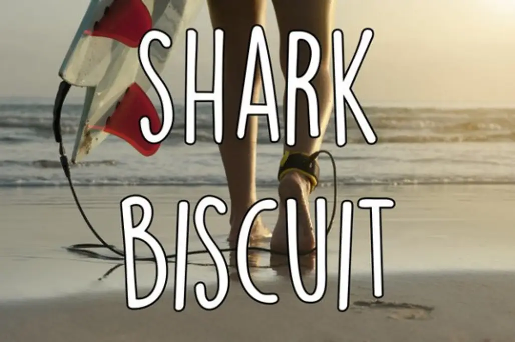 Shark Biscuit
