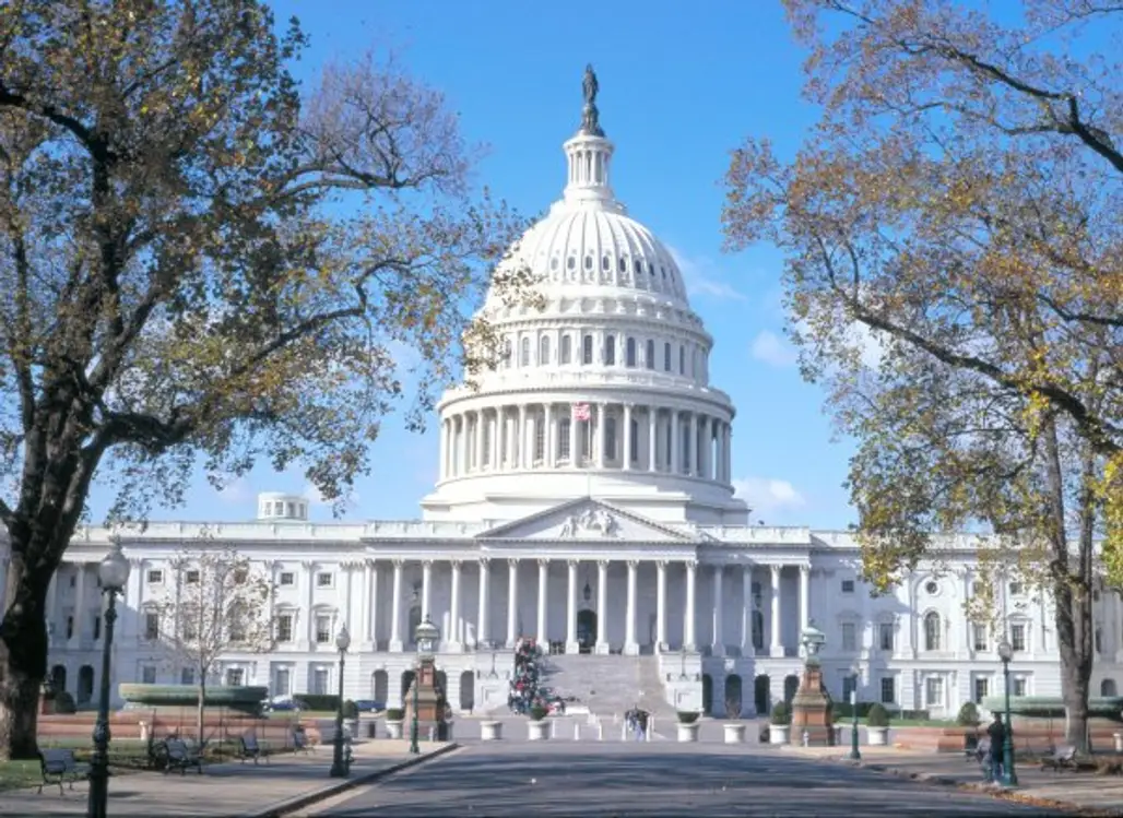 Take a Snapshot of Washington's Capitol, USA