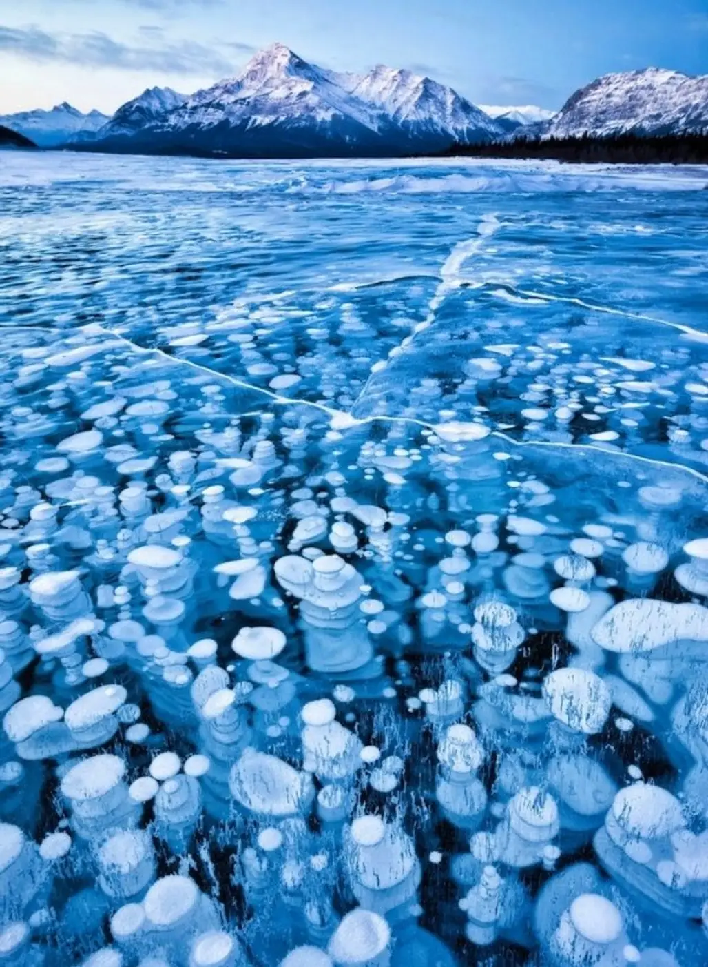 Abraham Lake’s Frozen Air Bubbles