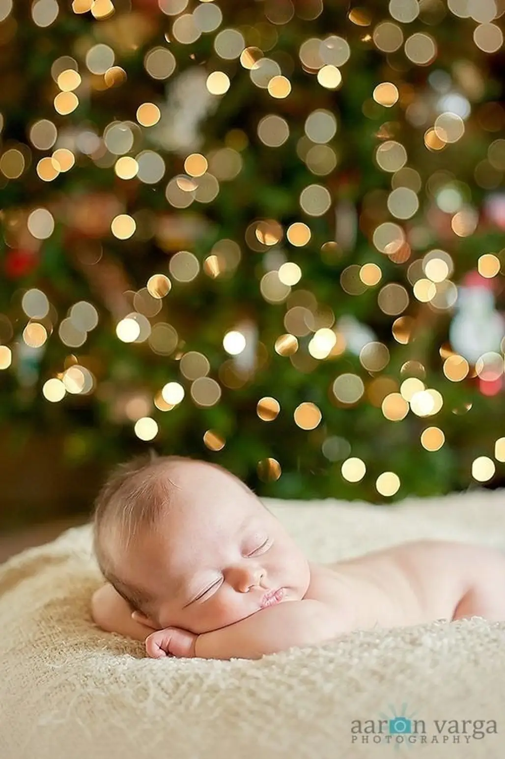 Newborn Photo at Christmas