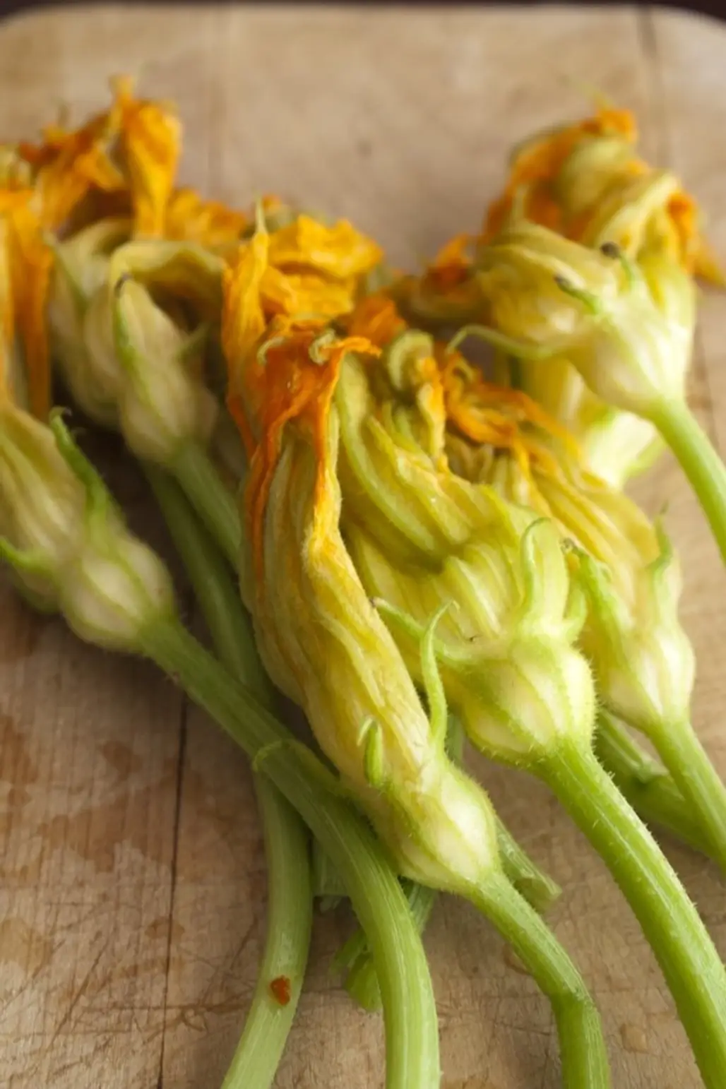 Roasted Squash Blossoms with Goat Cheese