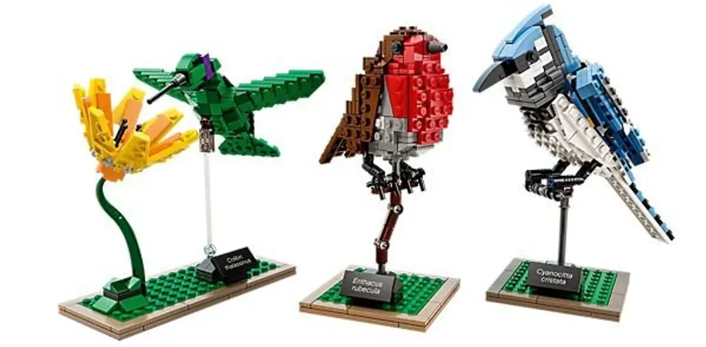 Trio of Birds