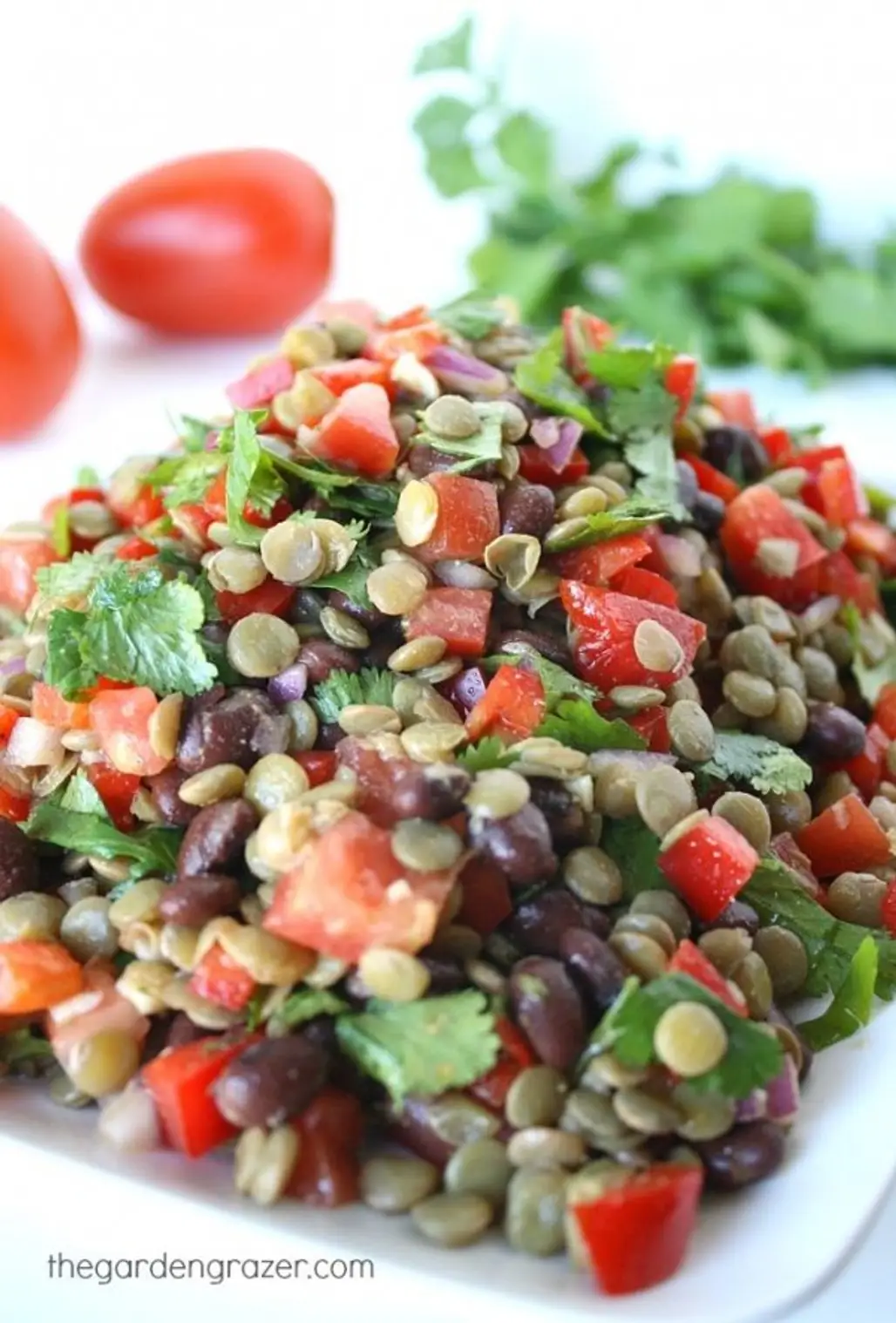 Black Bean Lentil Salad