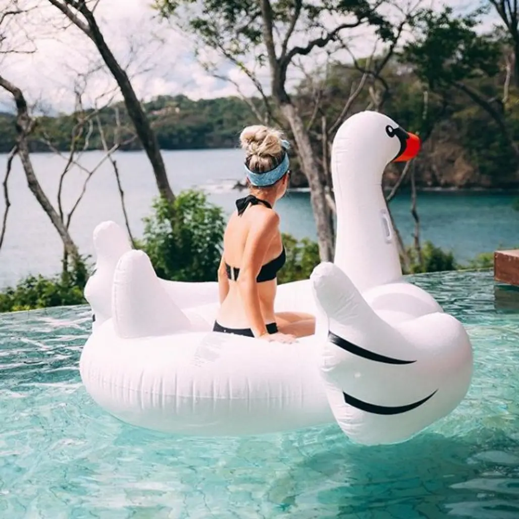 swan boat, inflatable, sculpture, amusement park, water park,