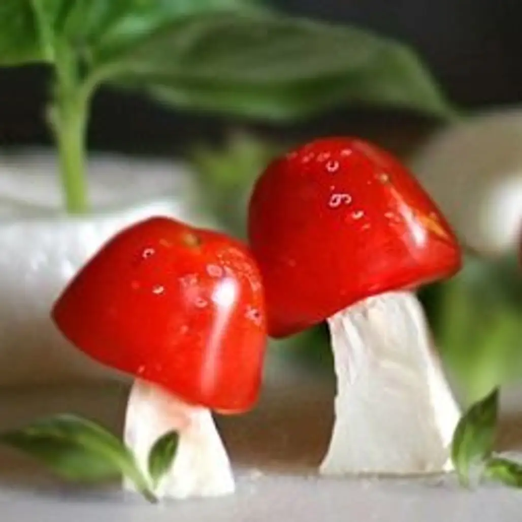 Mushroom Village Caprese Salad