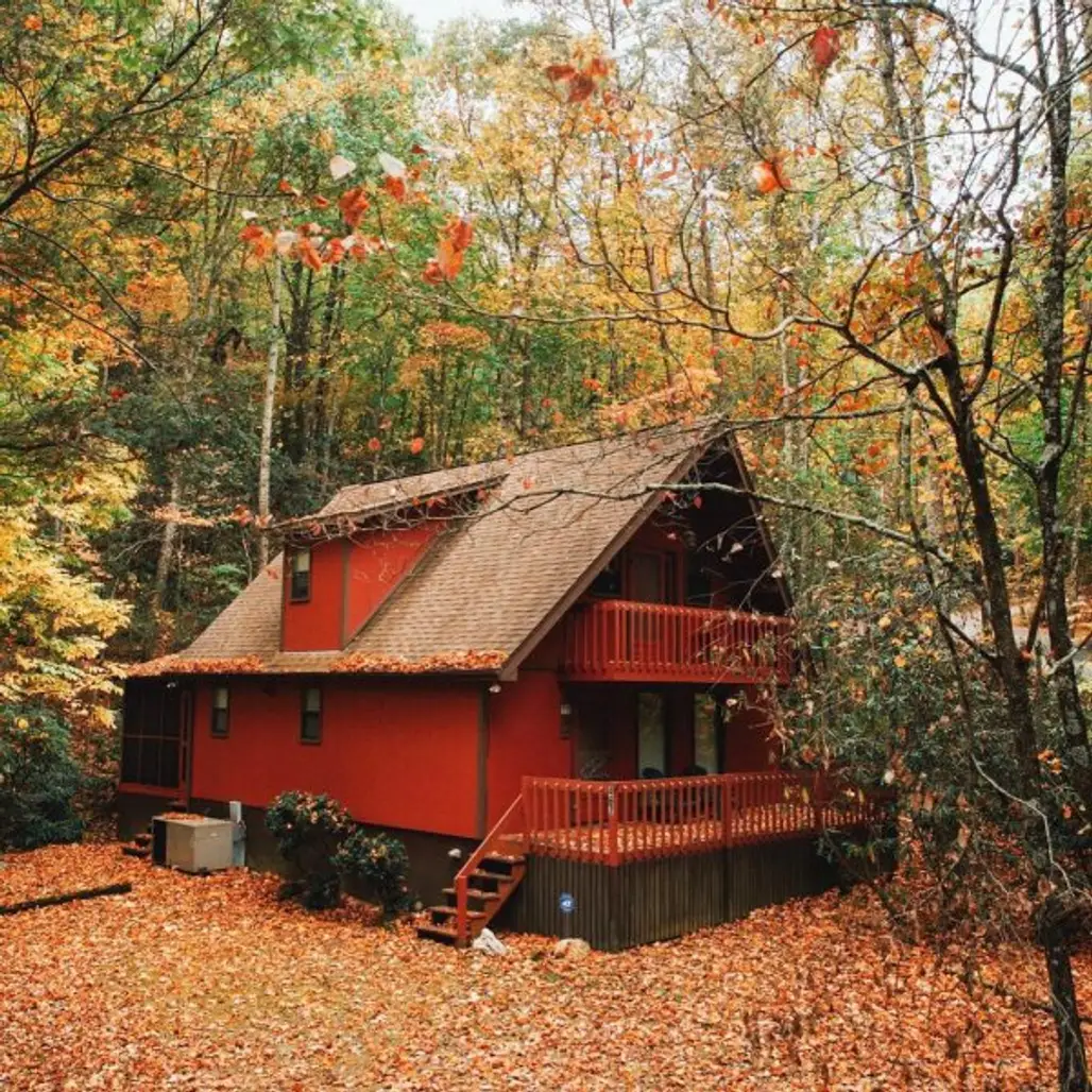 tree, house, building, autumn, season,