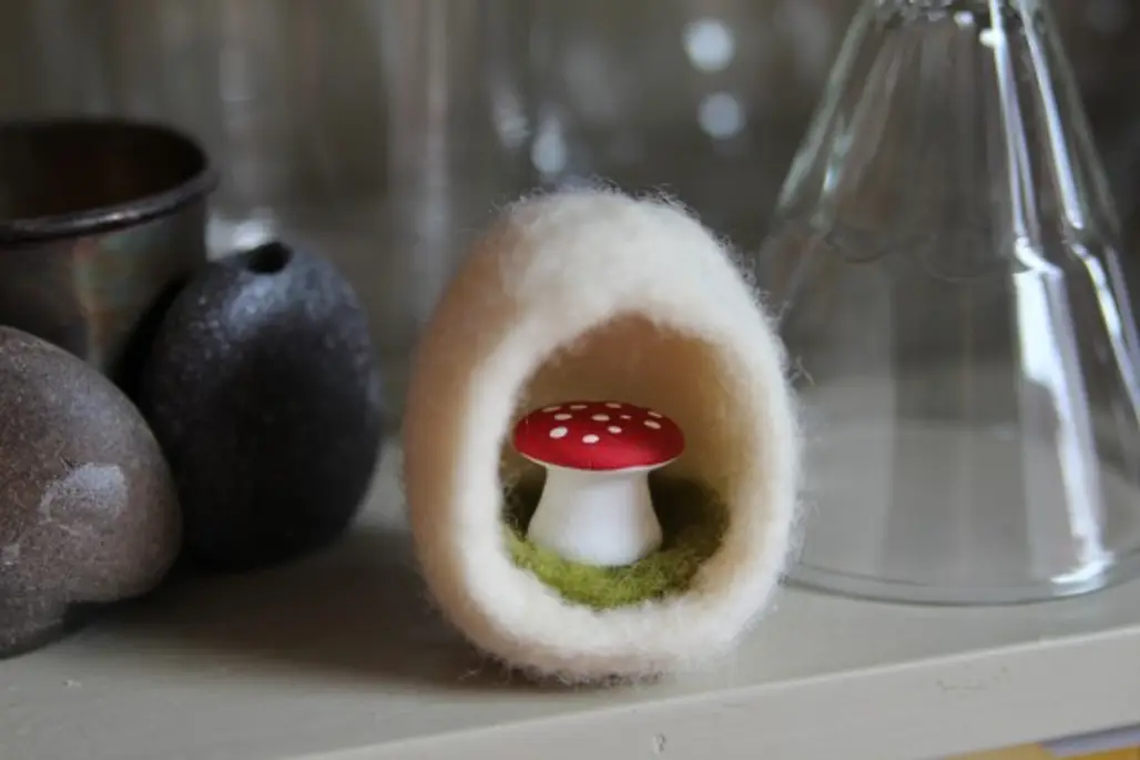 Toadstool in an Egg