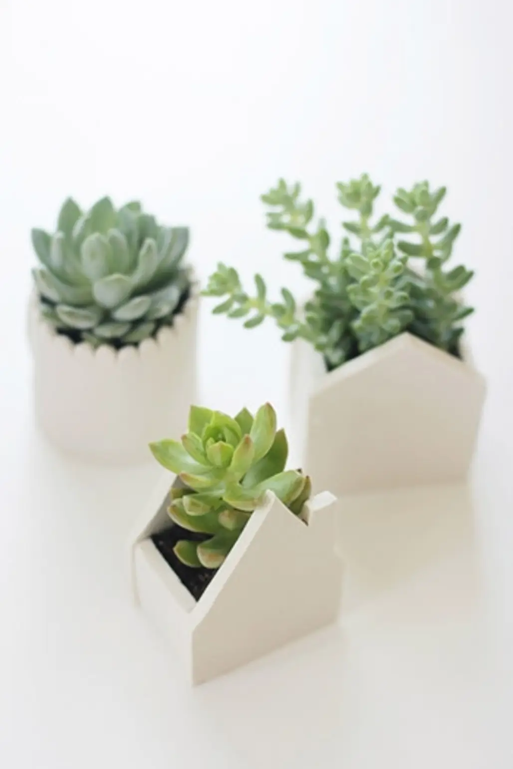 Polymer Clay Planters