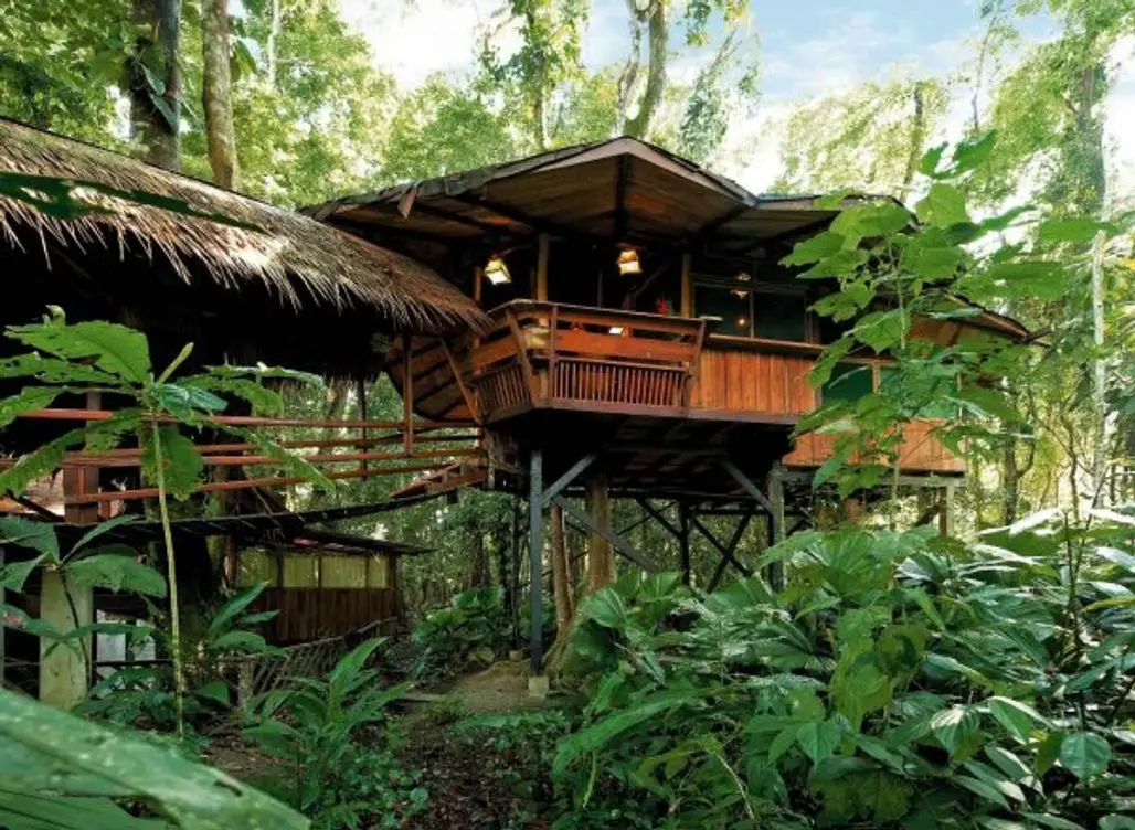 Tree House Lodge, Gandoca-Manzanillo Wildlife Refuge, Costa Rica