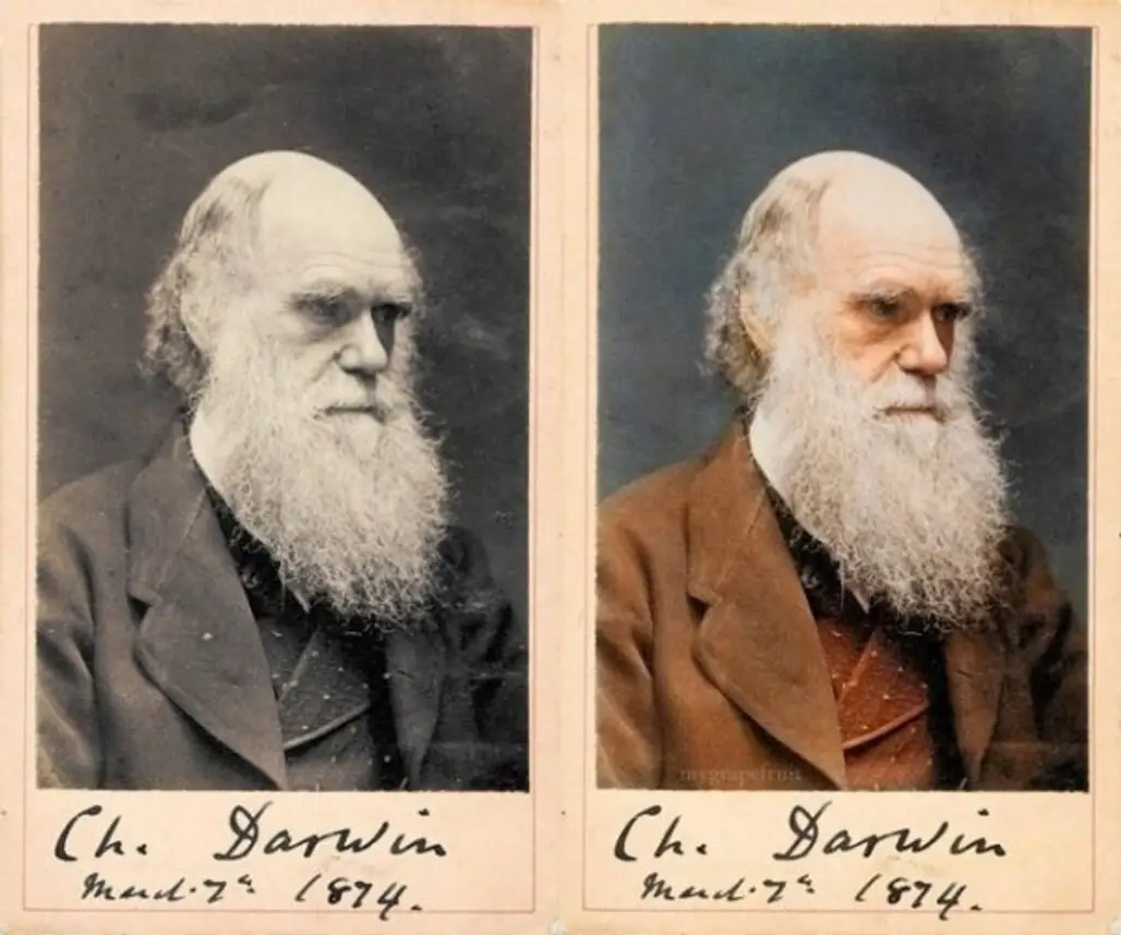 Charles Darwin in 1874