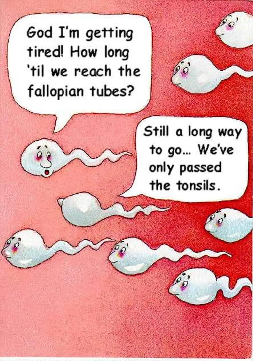 Sperm 101 (gone Wrong)