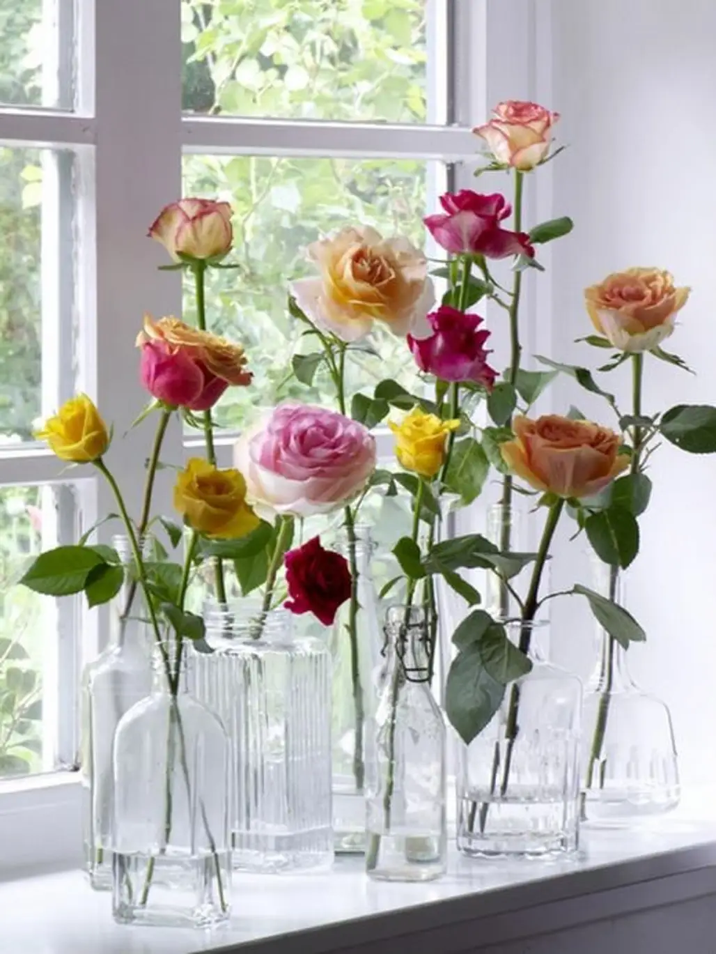 Tall Roses in Glass Vases