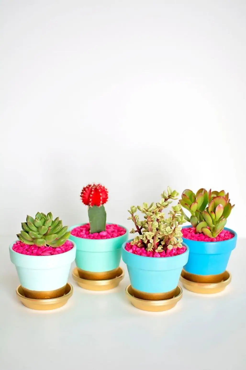 Gold Dipped Plant Pots-
